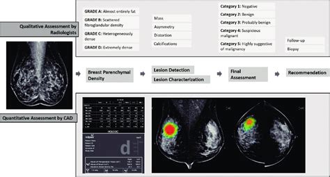 the villages digital mammography|Diagnostic Accuracy of Digital Mammography in the Detection of .